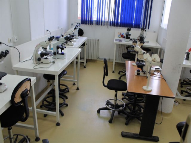 Laboratoire Cytologie 2